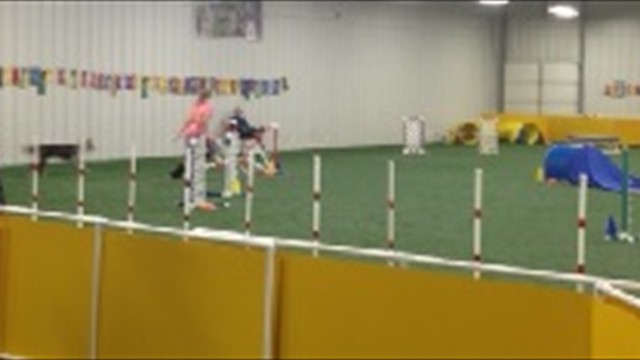 agility3